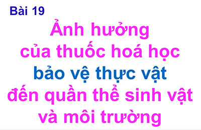 Bài 19: Ảnh hưởng của thuốc hóa học bảo vệ thực vật đến quần thể sinh vật và môi trường