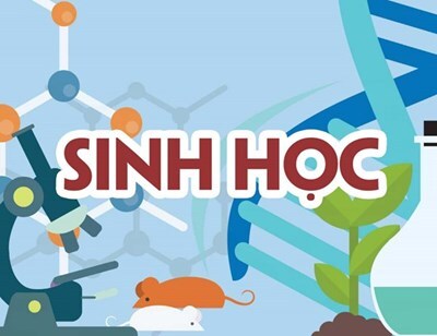 KẾ HOẠCH GIẢNG DẠY MÔN SINH HỌC NĂM HỌC 2022 - 2023