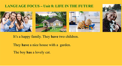 Unit 8: Life in the future: Language focus, Supplement