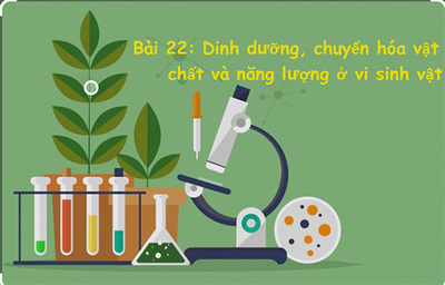 Bài 22: Dinh dưỡng, chuyển hóa vật chất và năng lượng ở vi sinh vật.