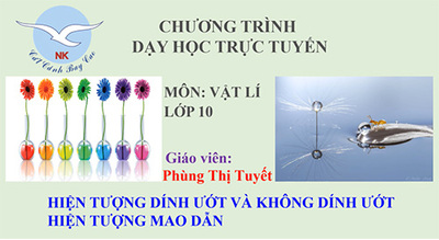 Bài 38 : Hiện tượng dính ướt và không dính ướt - Hiện tượng mao dẫn