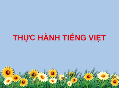 THỰC HÀNH TIẾNG VIỆT