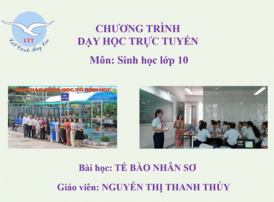 Bài 7: Tế bào nhân sơ.