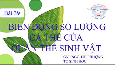 Bài 39: Biến động số lượng cá thể của quần thể.