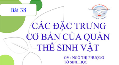 Bài 38: Các đặc trưng cơ bản của quần thể (tt)