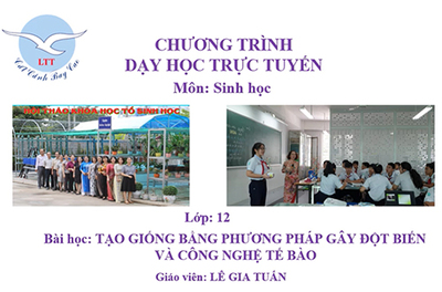 Bài 19: Tạo giống bằng phương pháp gây đột biến và công nghệ tế bào.
