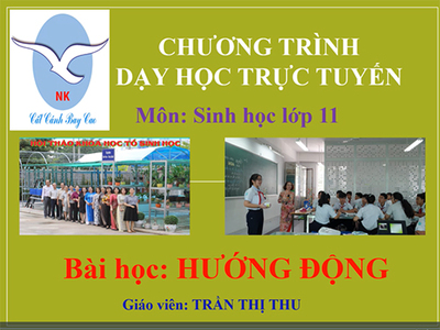 Bài 23: Hướng động.