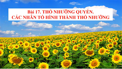 Bài 17. Thổ nhưỡng quyển. Các nhân tố ảnh hưởng đến thổ nhưỡng