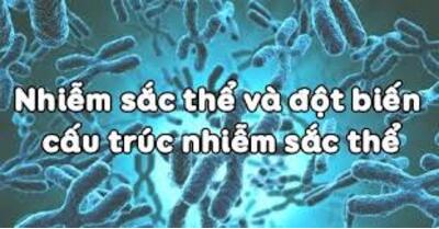 Bài 5: Nhiễm sắc thể và đột biến cấu trúc Nhiễm sắc thể
