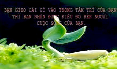 MÙA THI