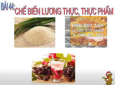 Bài 44: Chế biến lương thực, thực phẩm