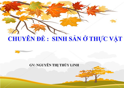 Bài 41,42: Sinh sản ở thực vật.