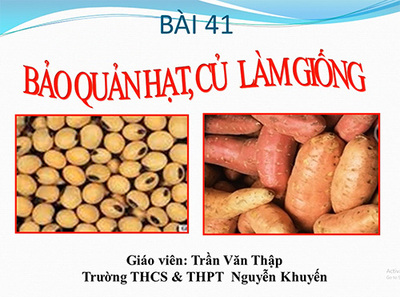Bài 41: Bảo quản hạt, củ làm giống