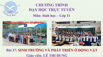 Bài 37,38,39: Sinh trưởng và phát triển ở động vật.